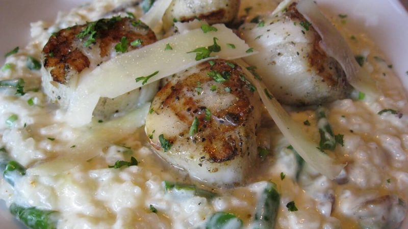 scallops_with_risotto